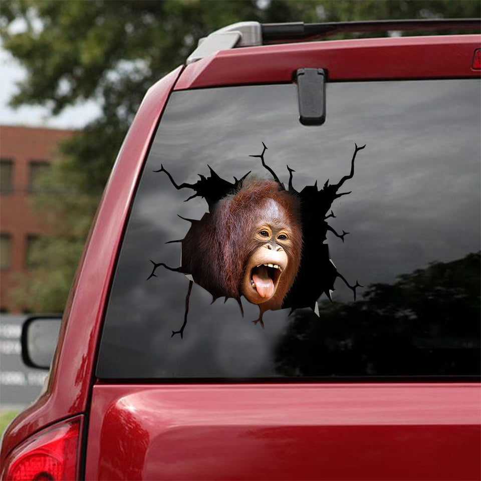 [ld1282-snf-lad]-orangutan-crack-car-sticker-monkeys-lover