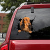 [da1102-snf-tnt]-dachshund-crack-car-sticker-dogs-lover