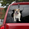 English Bulldog Crack Sticker Car Pretty Cute Window Decals Gift Ideas For Mom - Dog Lovers die-cut waterproof vinyl sticker decal