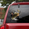 [sk0990-snf-ptd]-cat-fish-crack-car-sticker-fishing-lover