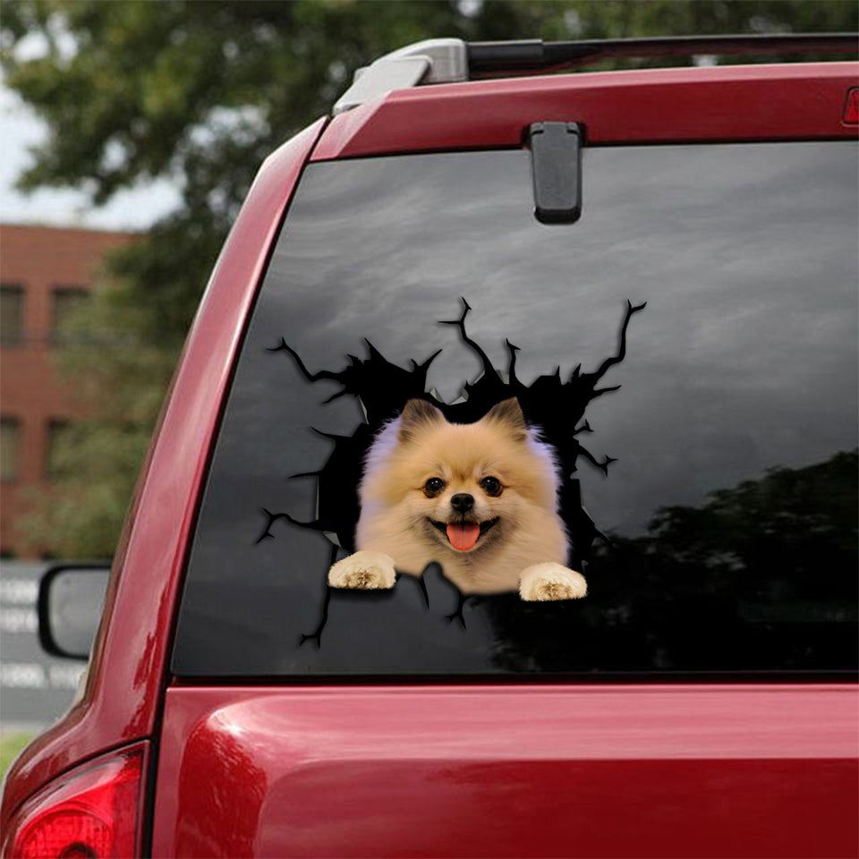 [sk1966-snf-tpa]-pomeranian-crack-car-sticker-dogs-lover