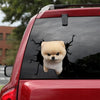 [sk1967-snf-tpa]-pomeranian-crack-car-sticker-dogs-lover
