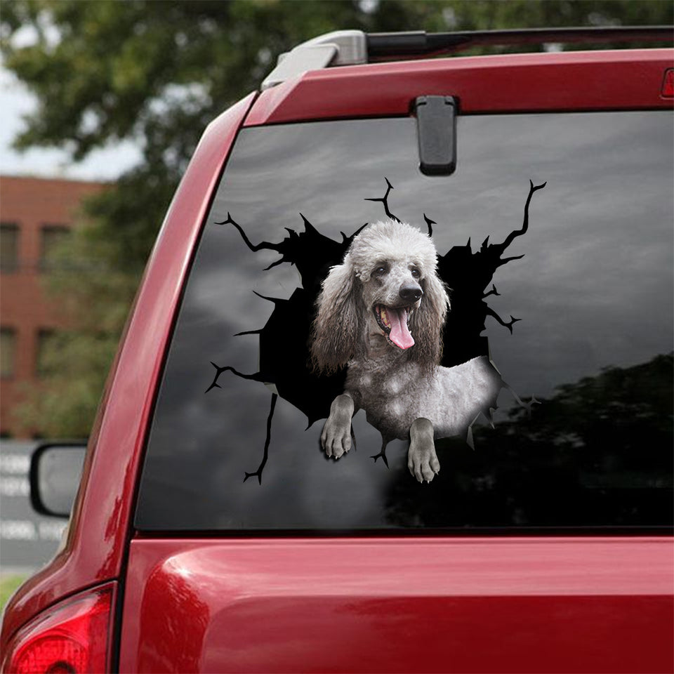 [sk1984-snf-lad]-poodle-crack-car-sticker-dogs-lover