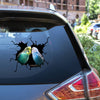 Budgerigars Bird Sticker Funny Parrot Wall Decals for Car