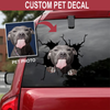 Personalized pet crack box dog sticker on premium waterproof, UV-resistant vinyl for laptops, tumblers, and water bottles