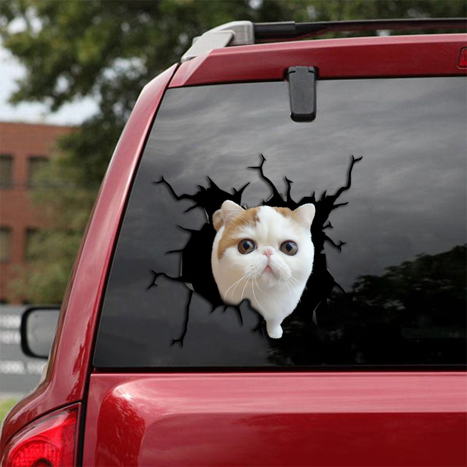[th0012-snf-lad]-exotic-cat-crack-sticker-cats-lover