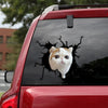 [th0012-snf-lad]-exotic-cat-crack-sticker-cats-lover