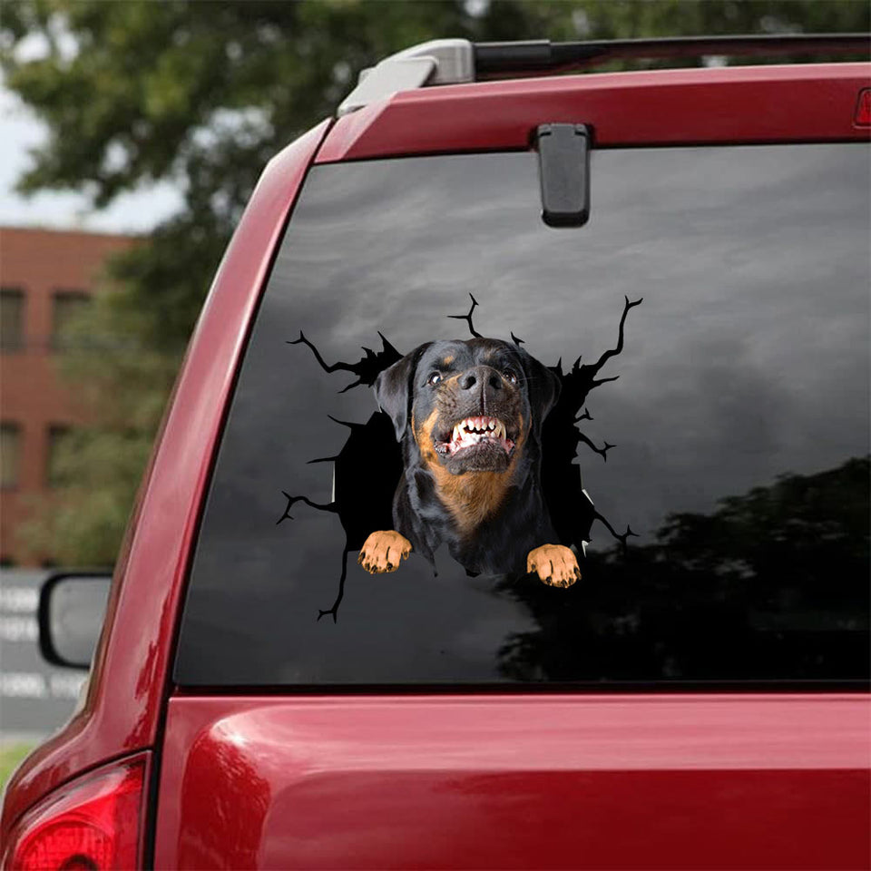 [da0429-snf-tnt]-rottweiler-crack-car-sticker-dogs-lover