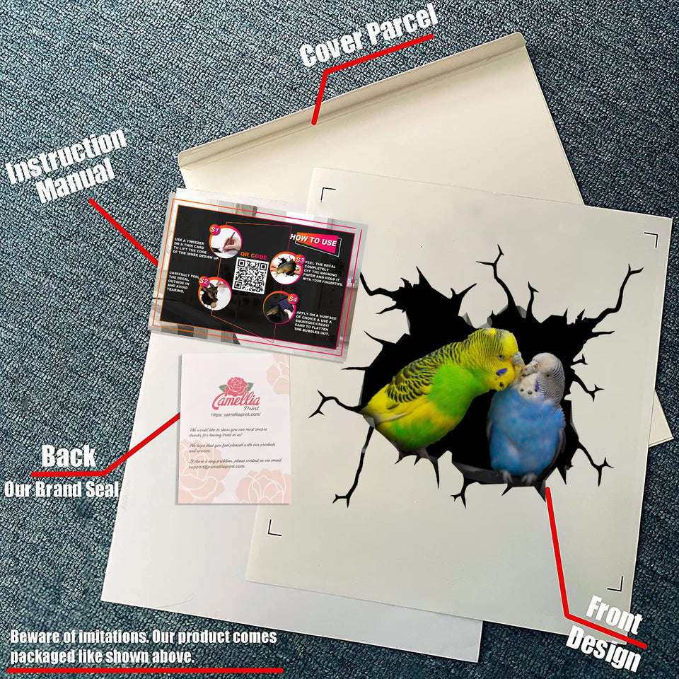 Budgerigars Bird Sticker Funny Parrot Wall Decals for Car