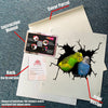 Budgerigars Bird Sticker Funny Parrot Wall Decals for Car