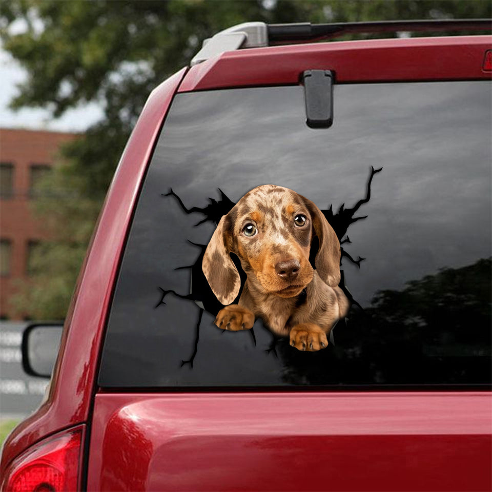 [th0018-snf-tpa]-dachshund-crack-sticker-dogs-lover