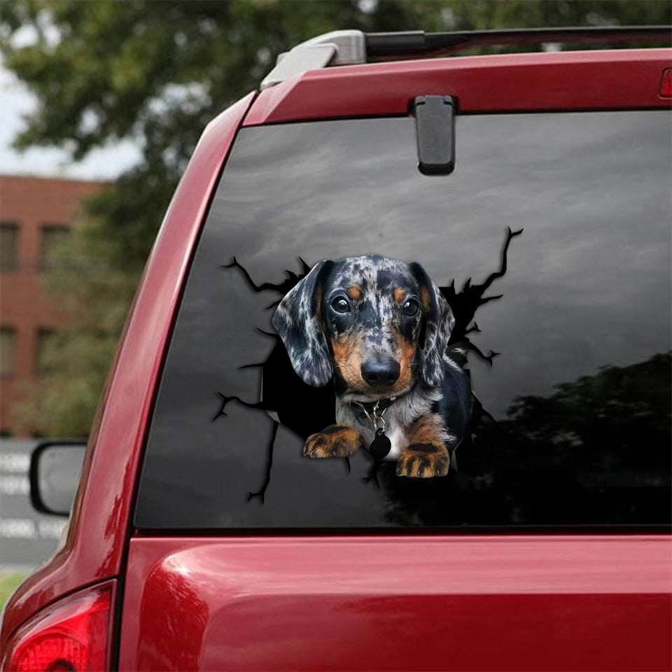 [th0019-snf-tpa]-dachshund-crack-sticker-dogs-lover