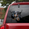 [th0019-snf-tpa]-dachshund-crack-sticker-dogs-lover