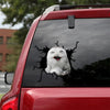 [th0036-snf-tpa]-owl-crack-car-sticker-owl-lover