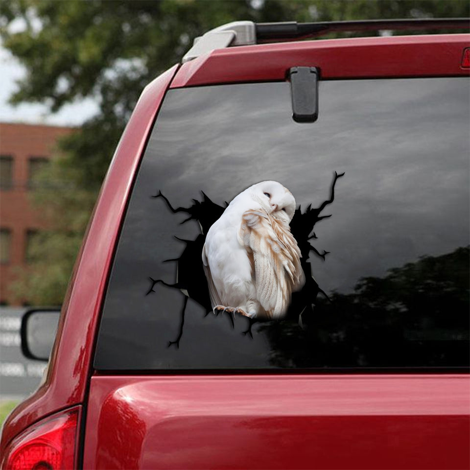 [th0038-snf-tpa]-owl-crack-car-sticker-owl-lover