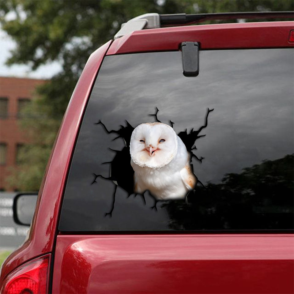 [th0039-snf-tpa]-owl-crack-car-sticker-owl-lover