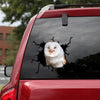 [th0039-snf-tpa]-owl-crack-car-sticker-owl-lover