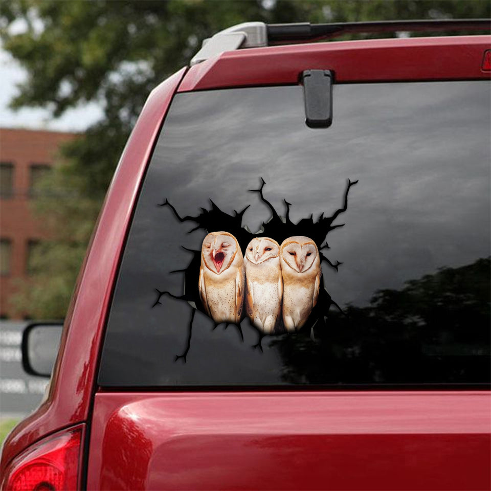 [th0040-snf-tpa]-owl-crack-car-sticker-owl-lover