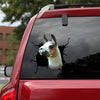 Funny Llama Crack Decal For Boat Pretty Custom Car Decals Father's Day Gift Ideas - General die-cut waterproof vinyl sticker decal