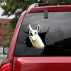 Funny Llama Crack Stickers Funny Quotes Vinyl Labels Unique Birthday Gifts For Him - General die-cut waterproof vinyl sticker decal