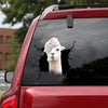 [da0460-snf-tnt]-funny-llama-crack-car-sticker-animals-lover-appy-outside-12x12inch