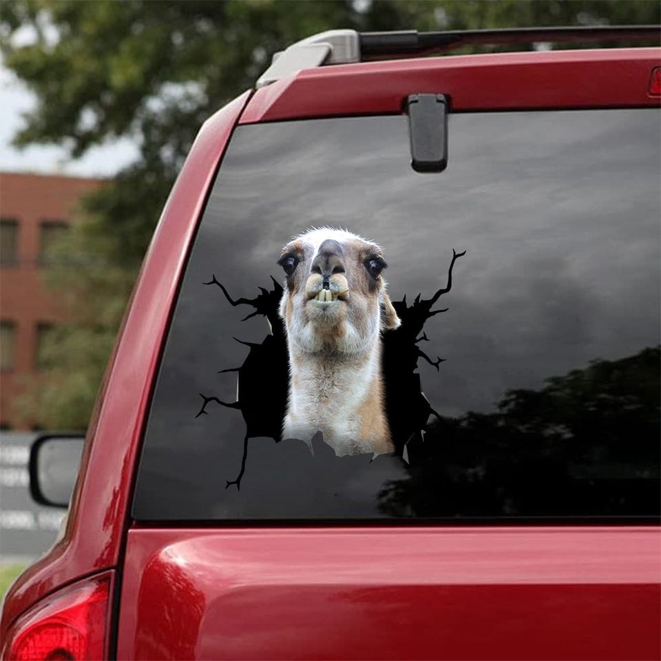 Funny Llama Crack Sticker Design You Cute Sticker Designs Gift For Husband - General die-cut waterproof vinyl sticker decal