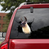 Funny Llama Crack Head Decal Kawaii 3d Sticker Gifts For Wife - General die-cut waterproof vinyl sticker decal