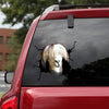 [da0445-snf-tnt]-funny-llama-crack-car-sticker-animals-lover-appy-outside-12x12inch