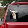 Funny Llama Crack Sticker Box Funny Decal Stickers Best Housewarming Gifts - General die-cut waterproof vinyl sticker decal