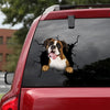 Boxer Crack Stickers For Scrapbooking Kawaii Die Cut Stickers Birthday Delivery - Dog Lovers die-cut waterproof vinyl sticker decal
