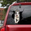 Border Collie Crack Sticker Car Funny Jokes Vinyl Labels Sympathy Gifts - General die-cut waterproof vinyl sticker decal
