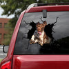 German Shorthaired Pointer Crack Dad Decal Super Cute Custom Window Decals Gift Ideas For Men - General die-cut waterproof vinyl sticker decal