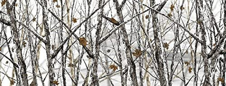 Camo Camouflage Tree Real Snow Vinyl Graphic Tailgate Cover Tailgate Flag Cute Tailgate Wrap For Trucks