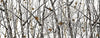 Camo Camouflage Tree Real Snow Vinyl Graphic Tailgate Cover Tailgate Flag Cute Tailgate Wrap For Trucks
