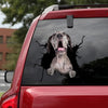 [da0020-snf-tnt]-great-dane-crack-car-sticker-dogs-lover