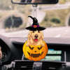 Customized Halloween dog witch and pumpkin car ornament hanging from a rear view mirror