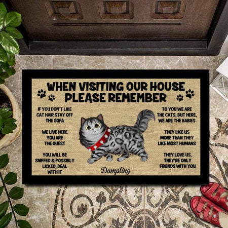 Custom cat lover doormat with a welcoming house message for cat owners and pet lovers