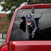 [ld0062-snf-lad]-cane-corso-crack-car-sticker-dogs-lover