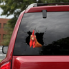 Funny Chicken Sticker Animals Lover SK0093 - Camellia Print