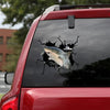 [sk1027-snf-ptd]-shark-crack-car-sticker-fishing-lover