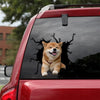 [sk1017-snf-tpa]-shiba-inu-yellow-crack-car-sticker-dogs-lover
