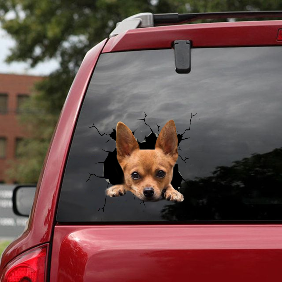 Funny Chihuahua Sticker Dogs Lover SK0098 - Camellia Print