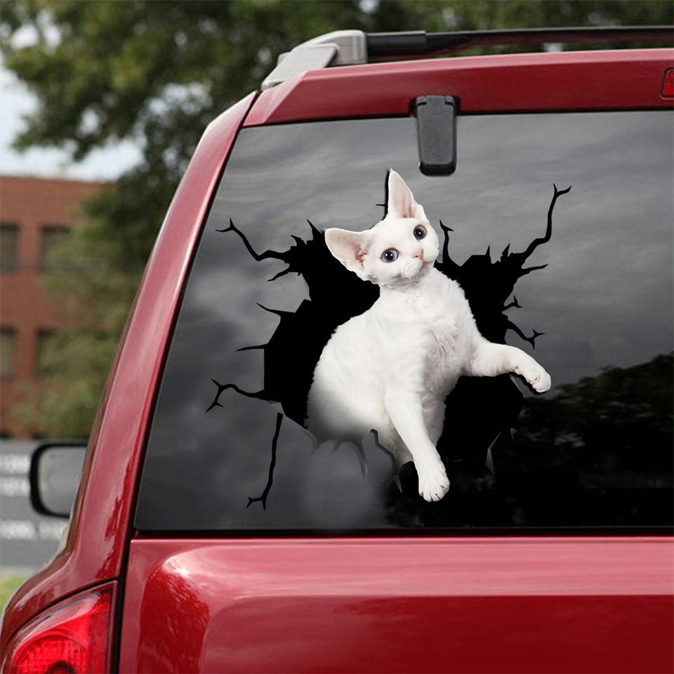 [ld0090-snf-lad]-the-devon-rex-cat-crack-car-sticker-cats-lover