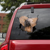 [bv0045-snf-tpa]-elephant-crack-car-sticker-animals-lover