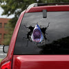 [sk1028-snf-ptd]-shark-crack-car-sticker-fishing-lover
