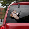 [th0045-snf-tpa]-giraffe-crack-car-sticker-giraffe-lover