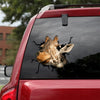 [th0046-snf-tpa]-giraffe-crack-car-sticker-giraffe-lover