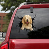 Otterhound Crack Decal Car Funny Big Stickers Birthday Delivery - General die-cut waterproof vinyl sticker decal