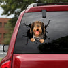 Otterhound Crack Decals For Windows Your Cute Custom Decals For Trucks 7 Year Anniversary Gift - Truck & Auto Lovers die-cut waterproof vinyl sticker decal