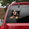 Otterhound Crack Car Decal Custom Lovable Vinyl Decals Anniversary Gifts For Him - General die-cut waterproof vinyl sticker decal